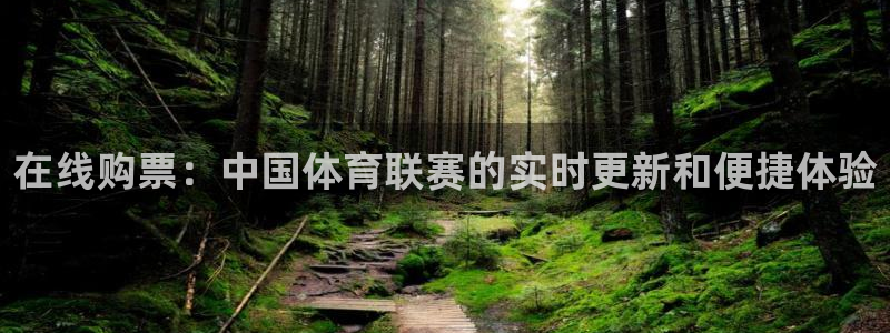 ng28.ccm网页版：在线购票：中国体育联赛的实时更新和便捷体验