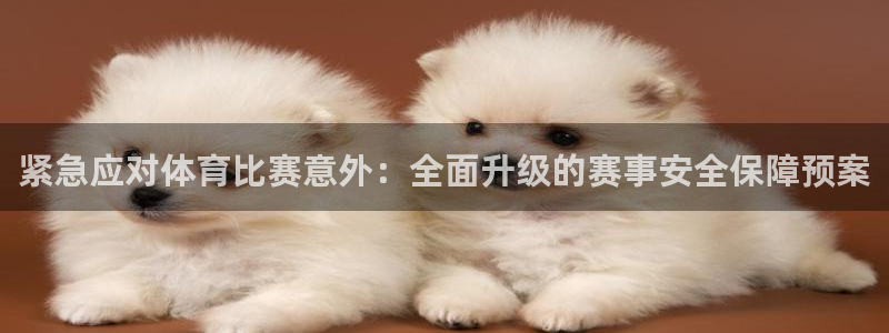 ng28官网入口链接：紧急应对体育比赛意外：全面升级的赛事安全保障预案