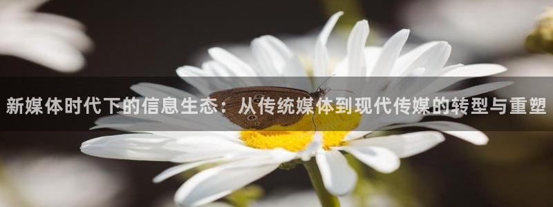 ng28代理：新媒体时代下的信息生态：从传统媒体到现代传媒的转型与重塑