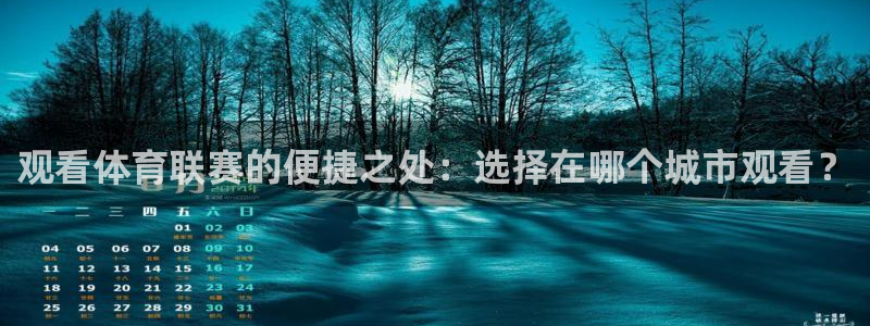 ng28怎么安装：观看体育联赛的便捷之处：选择在哪个城市观看？