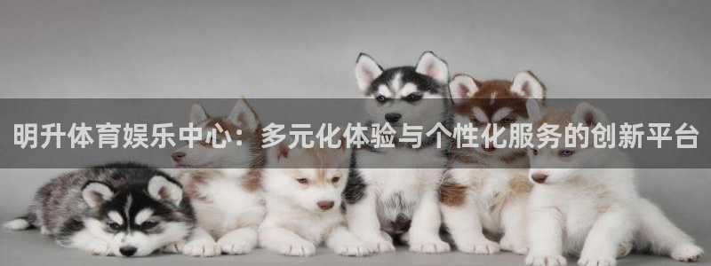 ng28平台下载：明升体育娱乐中心：多元化体验与个性化服务的创新平台
