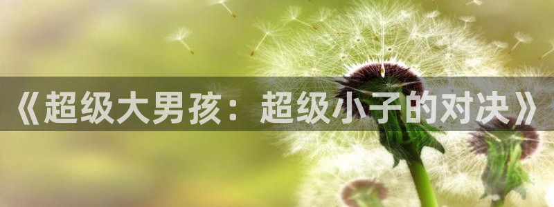 ng28相信品牌的力量官网
