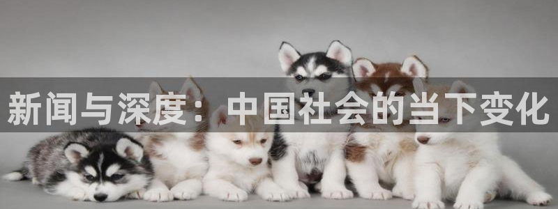 南宫ng28模拟器