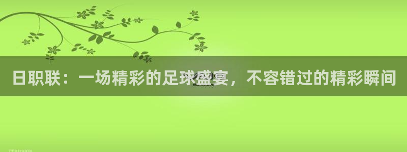 ng28,com：日职联：一场精彩的足球盛宴，不容错过的精彩瞬间