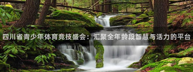 ng28相信品牌的力量手机版：四川省青少年体育竞技盛会：汇聚全年龄段智慧与活力的平台