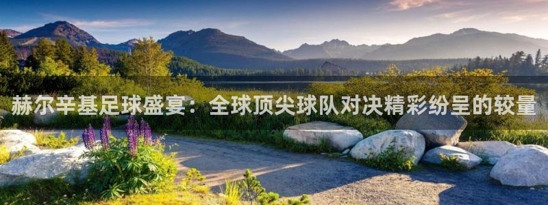 ng28正版下载：赫尔辛基足球盛宴：全球顶尖球队对决精彩纷呈的较量